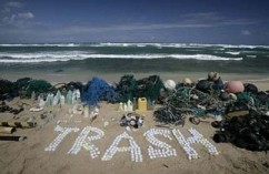 Courtesy of Greenpeace